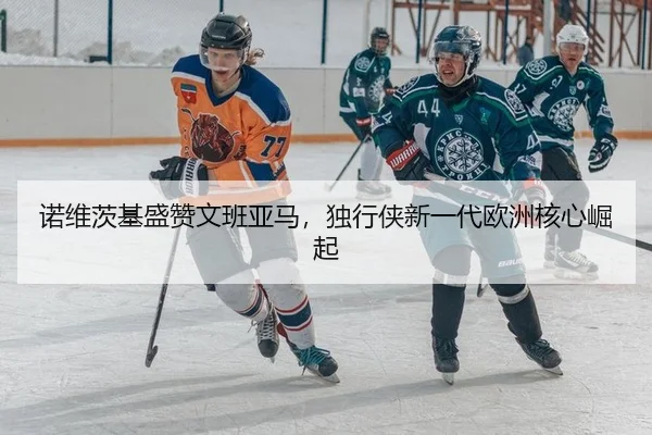 诺维茨基盛赞文班亚马，独行侠新一代欧洲核心崛起